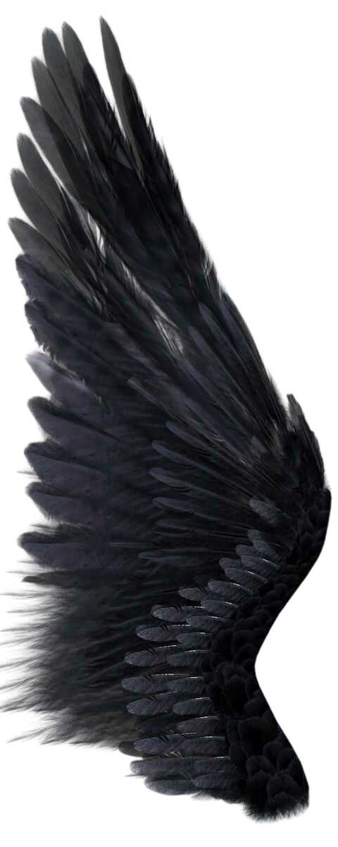 left-wing