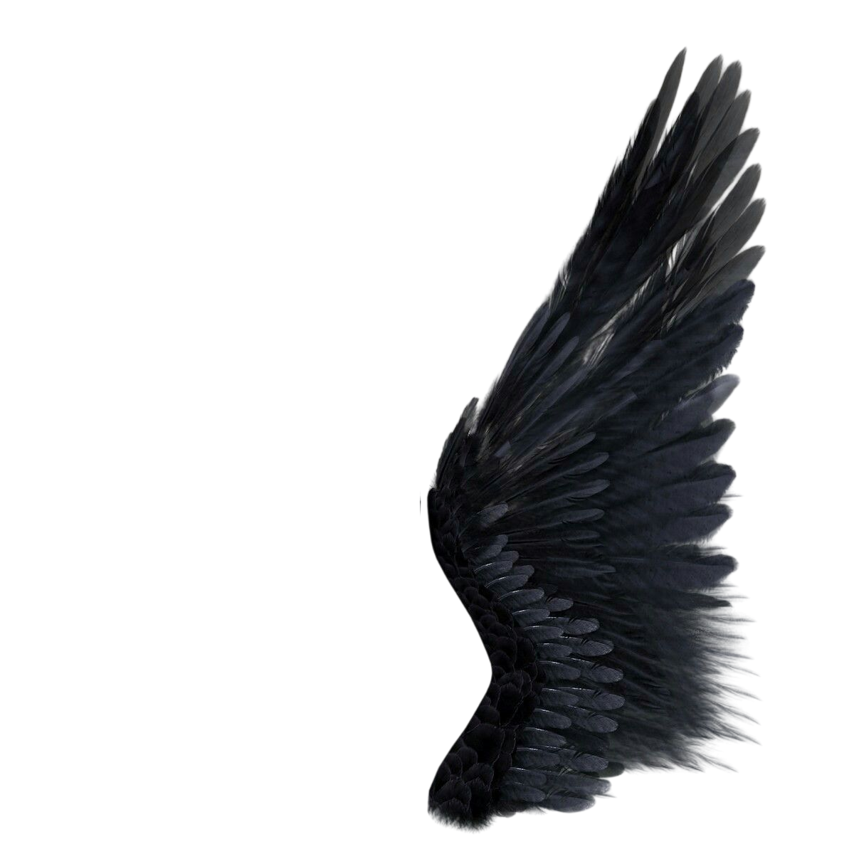 right-wing