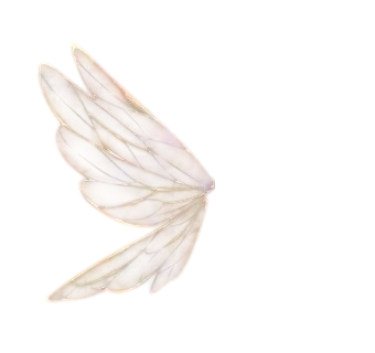 left-wing